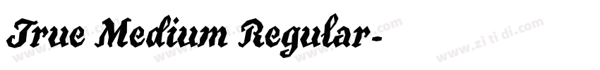 True Medium Regular字体转换